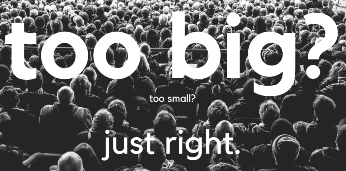 Right-Sizing Strategy Capability and Function for Mid-Size&nbsp;Companies